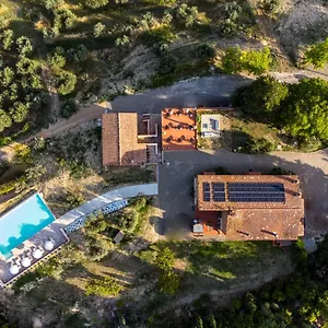 Bed & Breakfast La Collina Degli Olivi, Certaldo